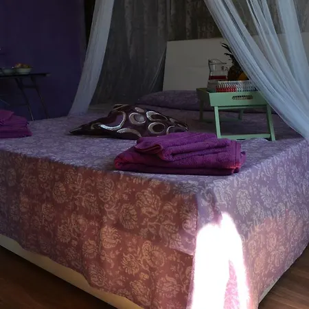 Cosy Joli אלגהרו