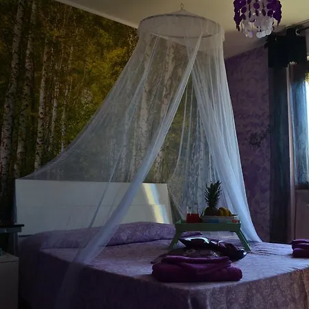 Cosy Joli בית הארחה אלגהרו
