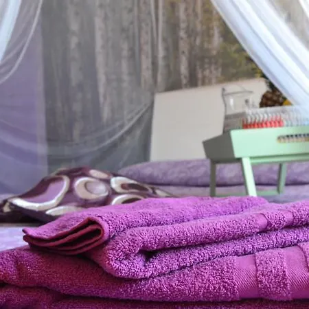 Cosy Joli בית הארחה אלגהרו